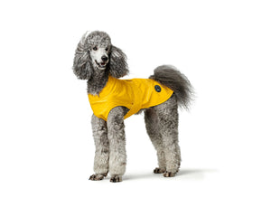Hundebekleidung