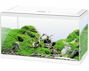 Collection image for: Aquarien und Fischbehälter