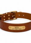 XS 20 - 30cm / Braun