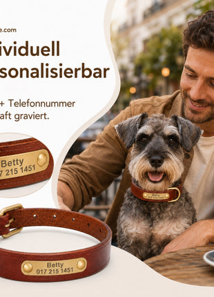 Leder Hundehalsband mit goldfarbener Marke, Gravur Name und Telefon