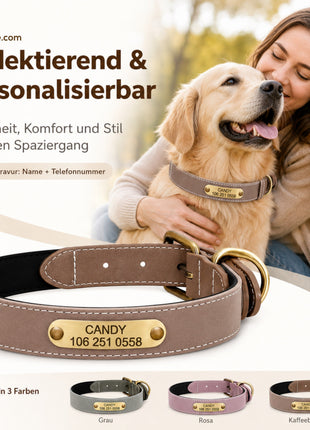 Wunderschönes Reflektions Hundehalsband mit Namen graviert
