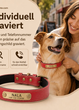 Dog collar with name on brass plate made of high-quality leather, neoprene inner padding, 2 solid D-rings