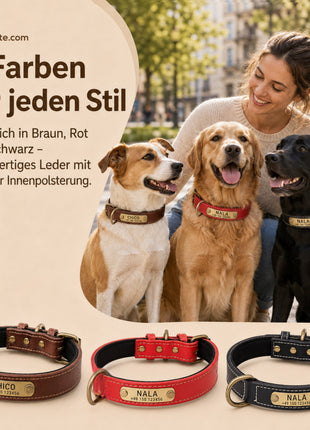 Dog collar with name on brass plate made of high-quality leather, neoprene inner padding, 2 solid D-rings
