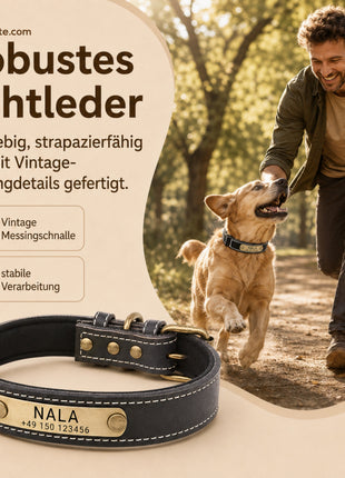 Dog collar with name on brass plate made of high-quality leather, neoprene inner padding, 2 solid D-rings
