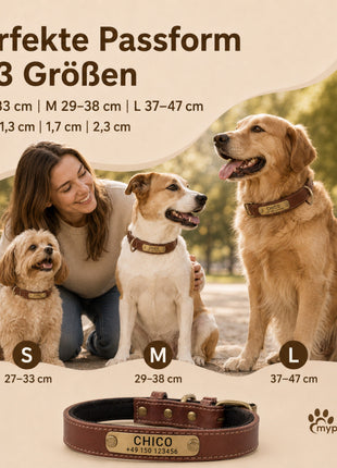 Dog collar with name on brass plate made of high-quality leather, neoprene inner padding, 2 solid D-rings