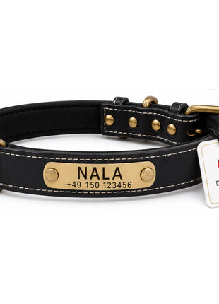 Dog collar with name on brass plate made of high-quality leather, neoprene inner padding, 2 solid D-rings