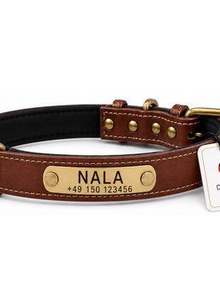Dog collar with name on brass plate made of high-quality leather, neoprene inner padding, 2 solid D-rings