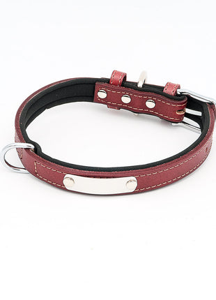 Dog collar with name, made of high-quality leather, neoprene inner padding, 2 solid D-rings