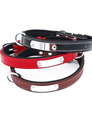 Dog collar with name, made of high-quality leather, neoprene inner padding, 2 solid D-rings