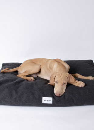 Hundebett Clean