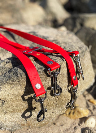 Premium Hundeleine RATZFATZ aus BioThane®/POP - Band - mit Edelstahlkomponenten - verstellbar