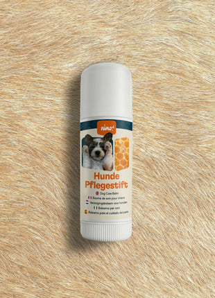 Hunde Pflegestift