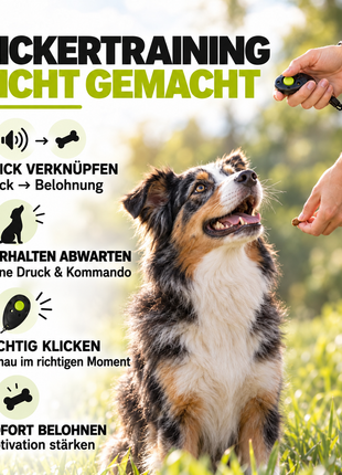 Premium Clicker für Hunde & Katzen – Profi Clicker für Clickertraining | ASCO