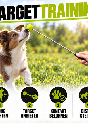 ASCO Target Stick - Target Stick for Dogs and Cats Target Training - Extendable Target Stick with Soft Ball - Stainless Steel Target Stick with Telescopic Function 