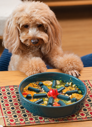 Slow Feeder Pet Bowl