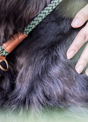 Hundehalsband OUTDOOR Rundzug