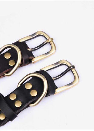 Genuine leather dog collar with brass buckle in four colors and free engraving of name and phone number.