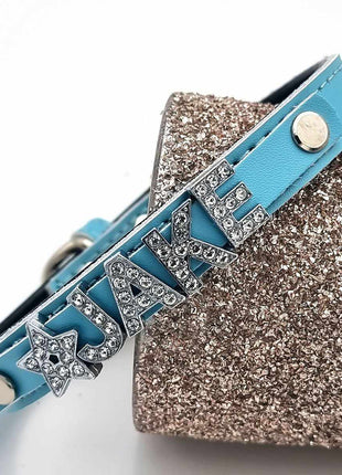 Elegant leather dog collar personalized with rhinestones + symbol