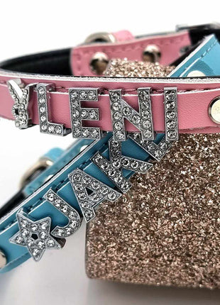 Elegant leather dog collar personalized with rhinestones + symbol