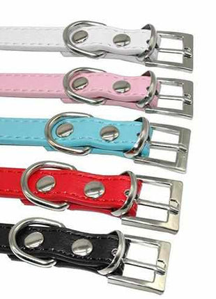 Edles Hundehalsband personalisiert mit Glitzersteinen + Symbol