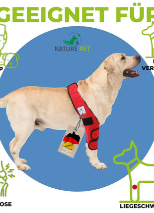 Pressure sore bandage for dogs