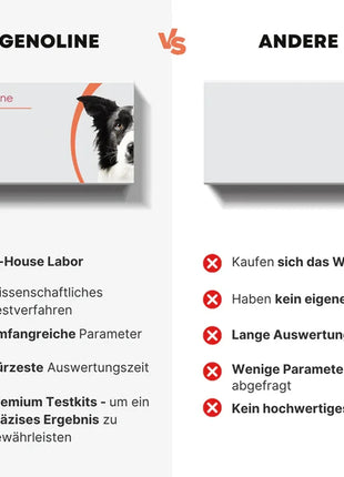 Allergietest für Hunde