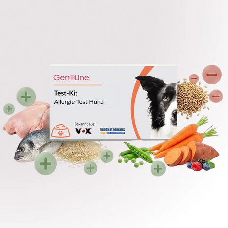 Allergietest für Hunde