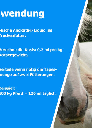 AnoKath® Liquid – unterstützende Begleitung bei Vaskulitis beim Pferd