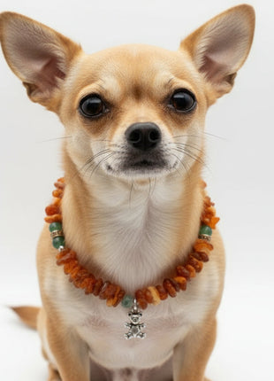 Amberdog® Amber Necklace with Jade – Handmade Unique Piece for Dogs (25 cm)