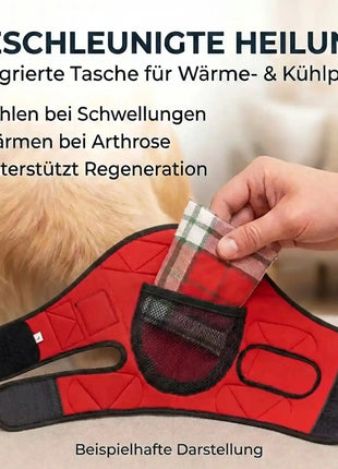 Pressure sore bandage for dogs