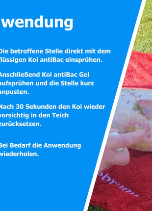 AnoKath® Koi antiBac – Wundspray für Koi & Teichfische