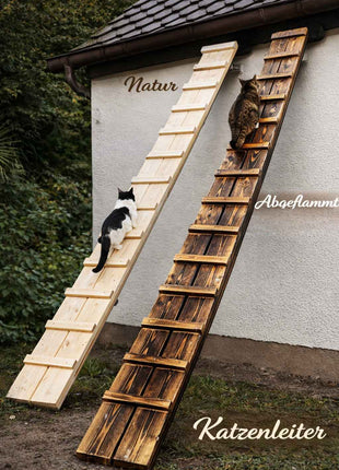 Katzenleiter 479 cm aus Holz – MediKratz