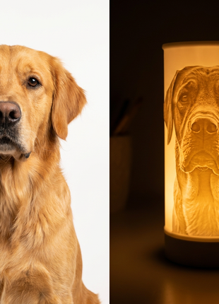 PawTribute – A luminous 3D keepsake image of your pet