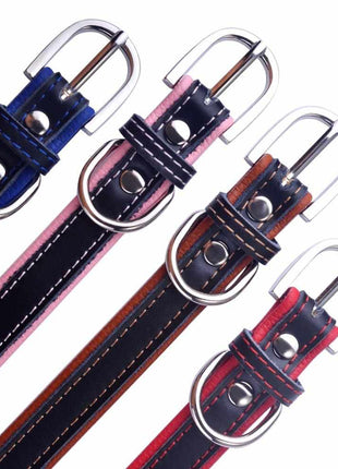 Personalized dark dog collar engraved with name