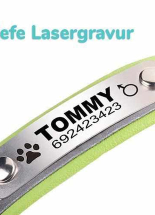 Dog collar engraved with name and phone number. Reflective.