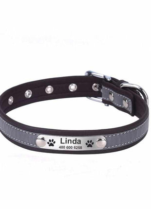 Dog collar engraved with name and phone number. Reflective.