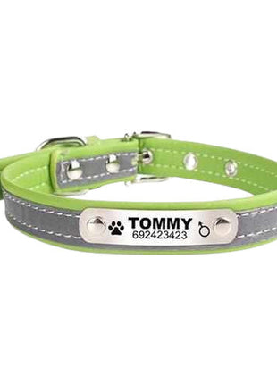 Dog collar engraved with name and phone number. Reflective.