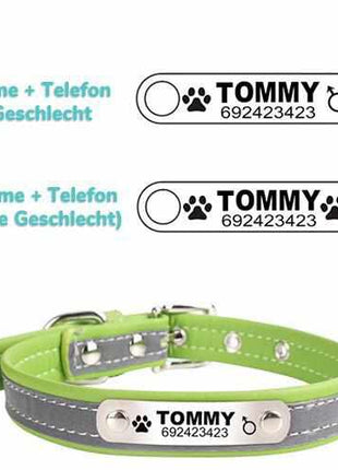 Dog collar engraved with name and phone number. Reflective.
