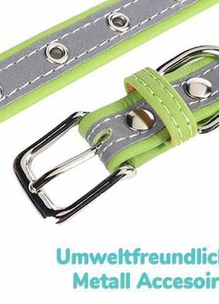 Dog collar engraved with name and phone number. Reflective.