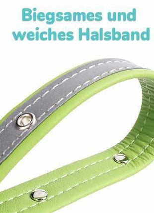 Dog collar engraved with name and phone number. Reflective.