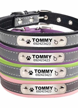 Dog collar engraved with name and phone number. Reflective.