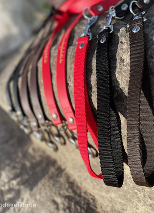 Double trail leash FERNWEH made of BioThane®/POP - Band