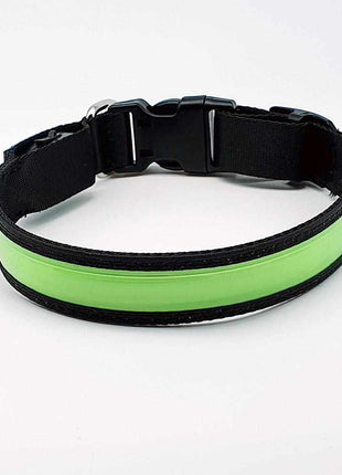 LED dog collar, durable nylon with USB connection