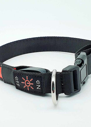 LED dog collar, durable nylon with USB connection