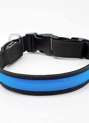 LED dog collar, durable nylon with USB connection