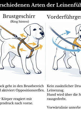 Vorderführgeschirr STURMFREI® Saver (16 mm) – höhenverstellbar aus BioThane® - Extra-Sicherung