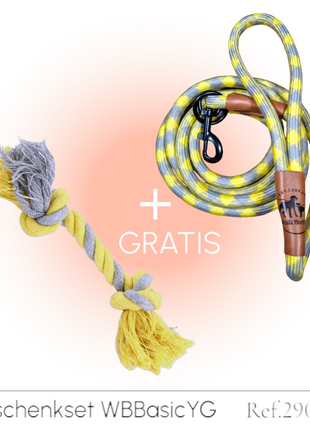 Hundeleine grau gelb mit gratis Tauseil und Kotbeutelspender