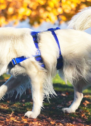 STURMFREI® Saver anti-stress harness for small to medium-sized dogs