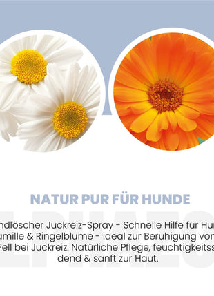 Brandlöscher Anti Juckreiz Spray für Hunde