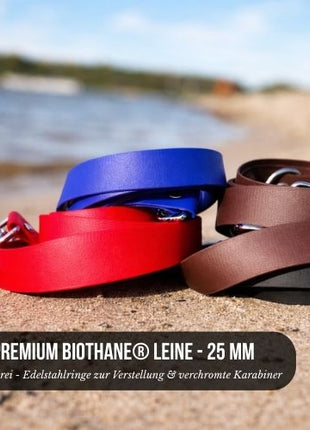 Premium Hundeleine RATZFATZ aus BioThane®/POP - Band - mit Edelstahlkomponenten - verstellbar